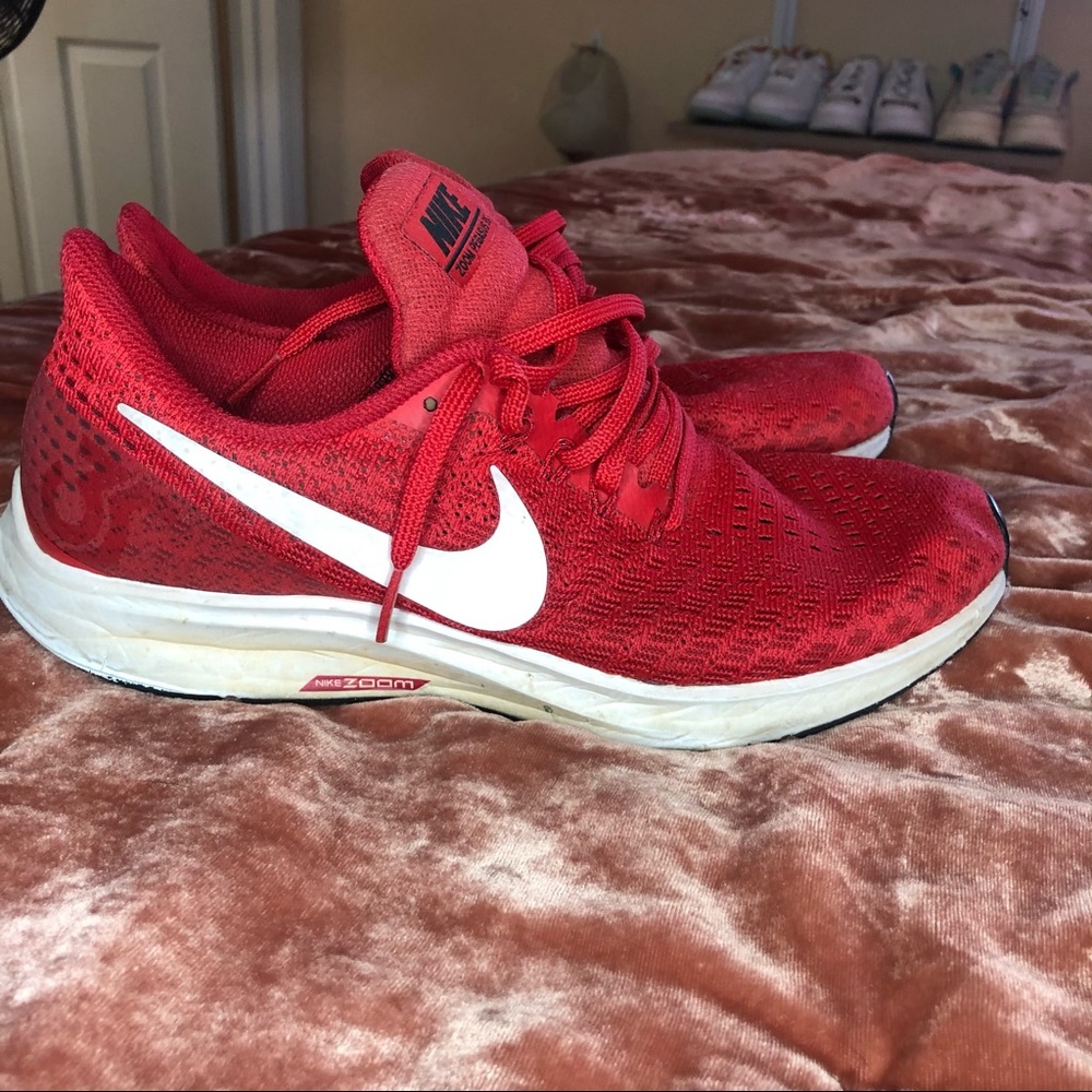 Nike Zoom Pegasus